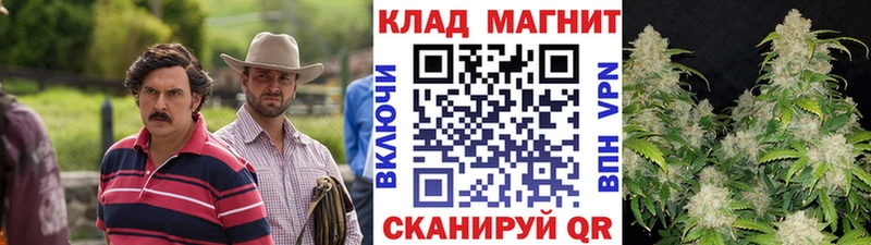 Купить закладку A-PVP  Мефедрон  ГАШ  МАРИХУАНА  Порхов