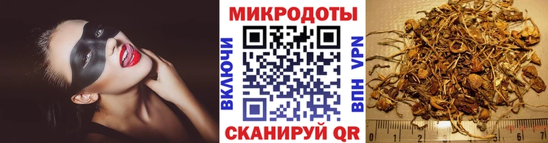 Псилоцибиновые грибы GOLDEN TEACHER  Купить где  Порхов 